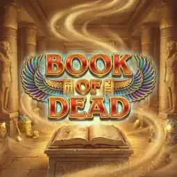 Book of Dead gra w Vavada Casino dla graczy z Polski