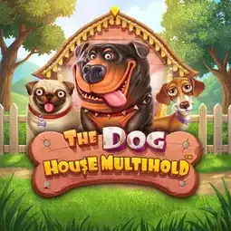 The Dog House Multihold gra w Vavada Casino dla graczy z Poland